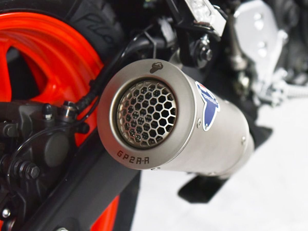 Termignoni duslintuvas – galerijos nuotrauka