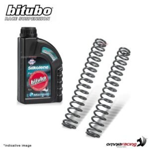 Bitubo Race Suspension K=1.00 šakių spyruoklės – Yamaha FZ8 2011–2012 / Yamaha FZ8 Fazer 2011–2012