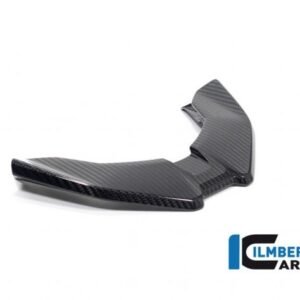 Ilmberger Carbonparts Karbono priekinis snapas – BMW S 1000 XR 2024