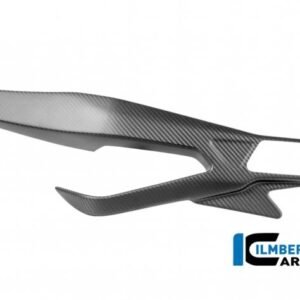 Ilmberger Carbonparts MM.SCL.023.S119S karboninės galinės šakės apsaugos (matinis karbonas) – BMW M 1000 RR 2025