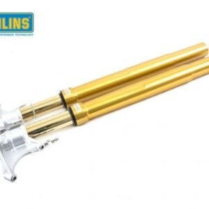 Ohlins R&T NIX 43 mm priekinė šakė auksinis – BMW S 1000 RR 2019–2023