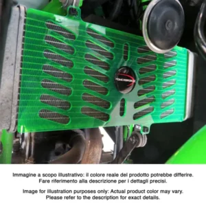 Kawasaki Ninja 125